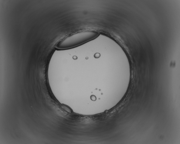 X0000089390249200707131725