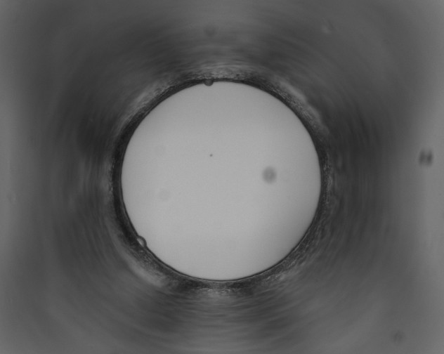 X0000089390250200707131725