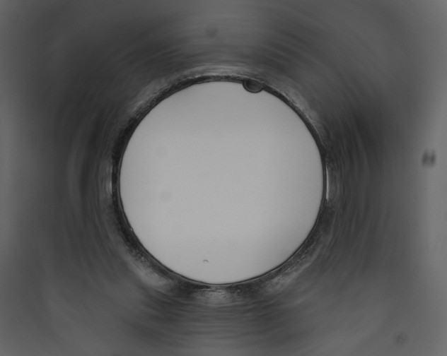 X0000089390253200707131725