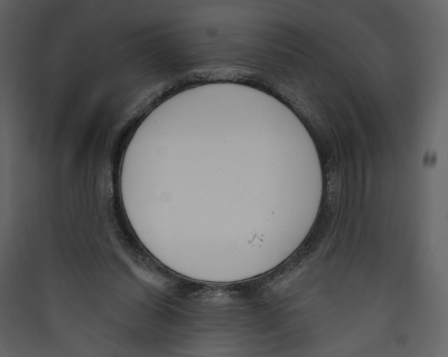 X0000089390254200707131725