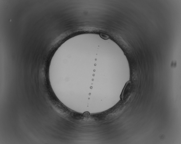 X0000089390256200707131725
