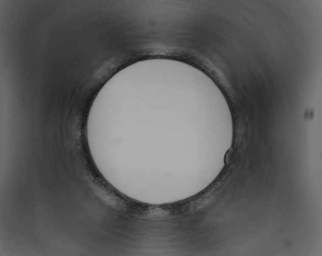 X0000089390257200707131725