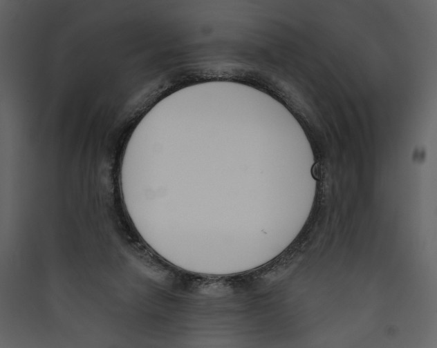 X0000089390258200707131725
