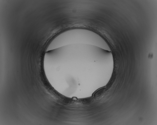 X0000089390260200707131725