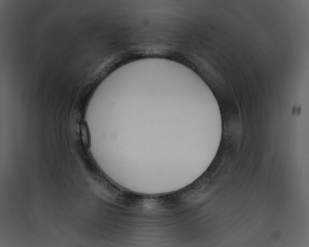 X0000089390264200707131725