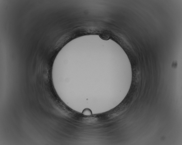 X0000089390266200707131725