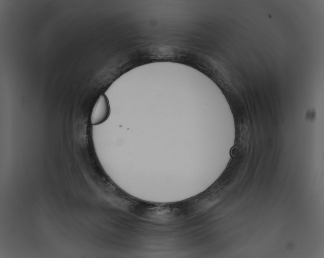 X0000089390267200707131725