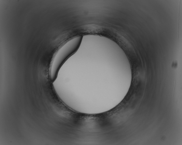 X0000089390268200707131725