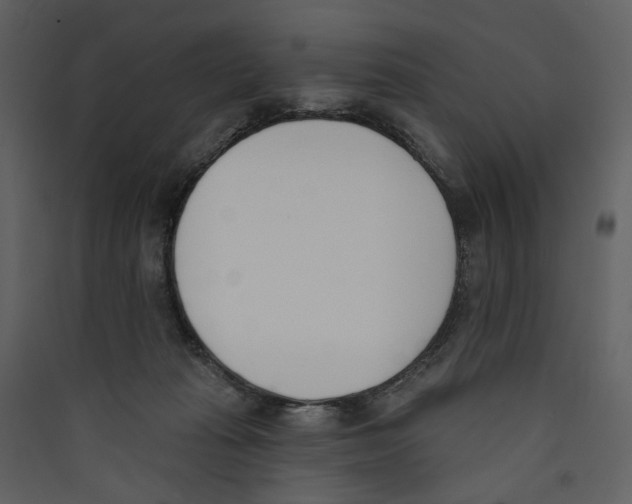 X0000089390269200707131725