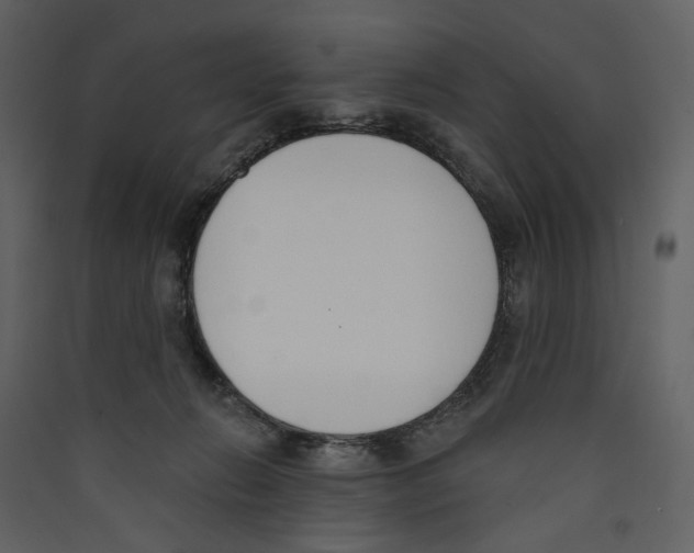 X0000089390270200707131725