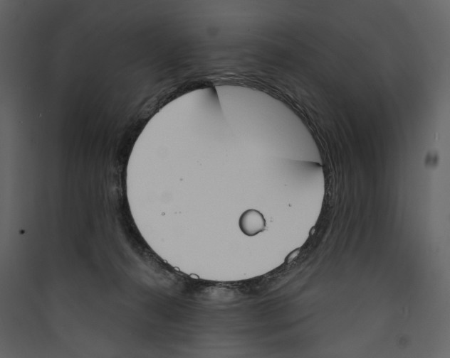X0000089390272200707131725