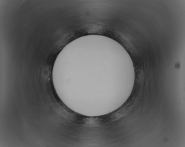 X0000089390273200707131725