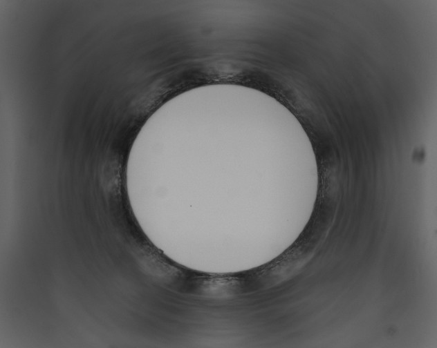 X0000089390274200707131725