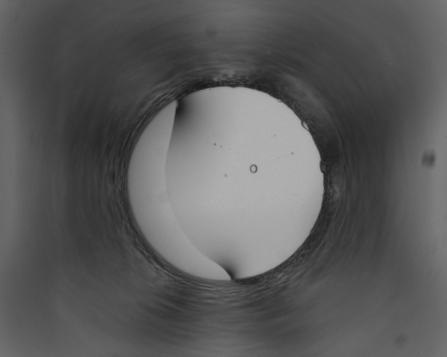 X0000089390276200707131725