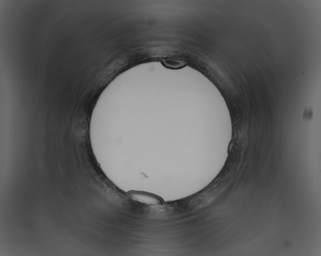X0000089390277200707131725