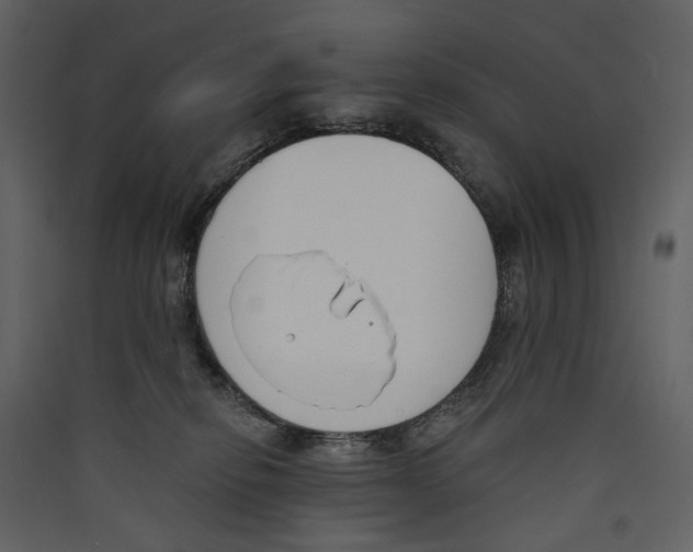 X0000089390278200707131725