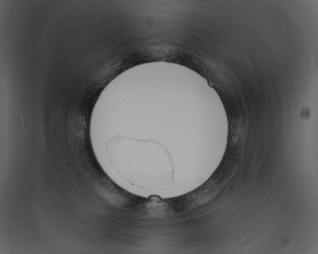 X0000089390279200707131725