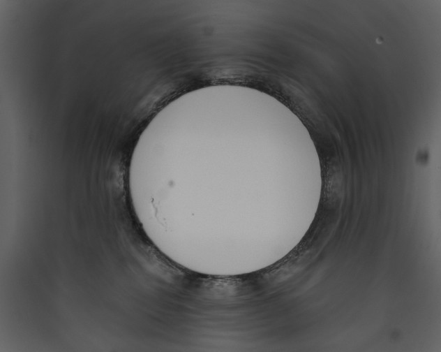 X0000089390282200707131725