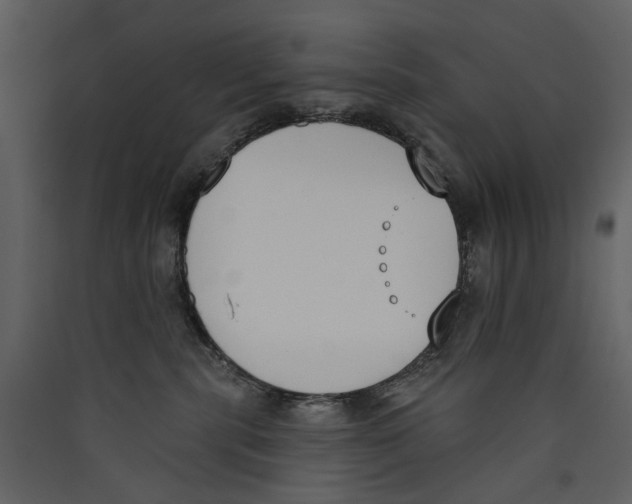 X0000089390283200707131725