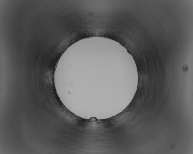X0000089390286200707131725