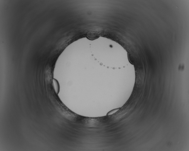 X0000089390287200707131725