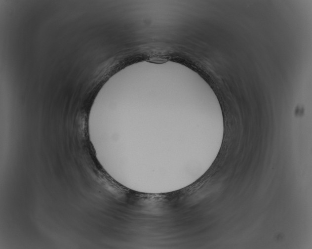X0000089390288200707131725