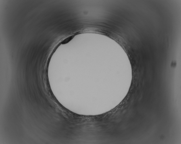 X0000089390289200707131725