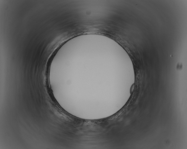 X0000089390290200707131725