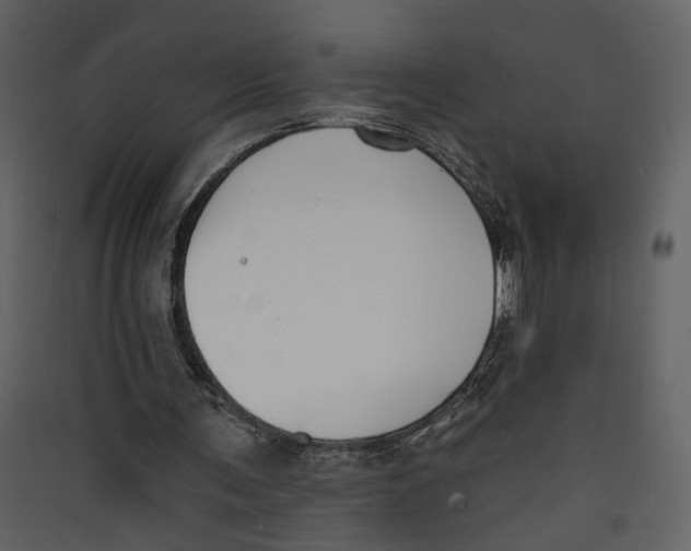 X0000089390291200707131725