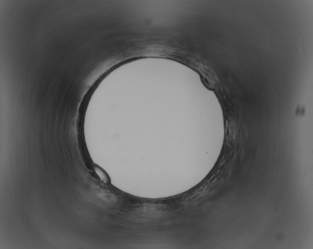 X0000089390292200707131725
