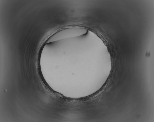 X0000089390293200707131725
