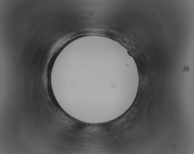 X0000089390294200707131725