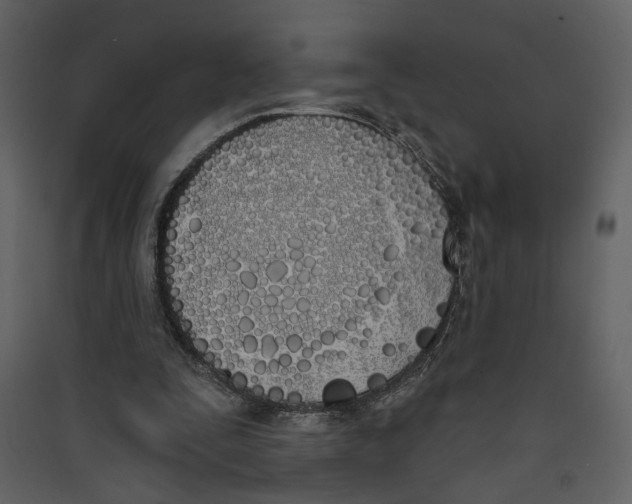 X0000089390295200707131725