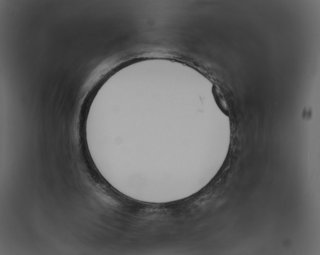 X0000089390296200707131725