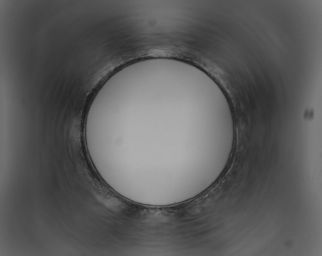 X0000089390297200707131725