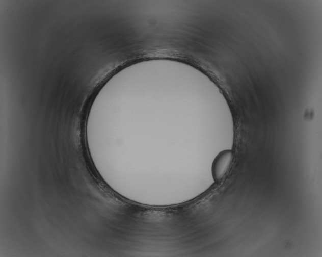 X0000089390298200707131725
