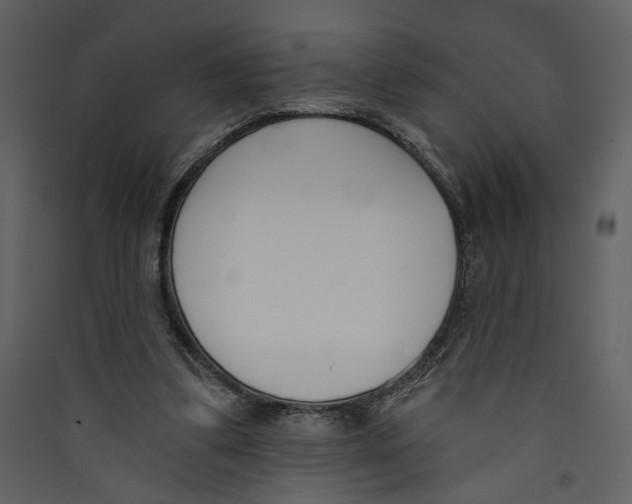 X0000089390299200707131725