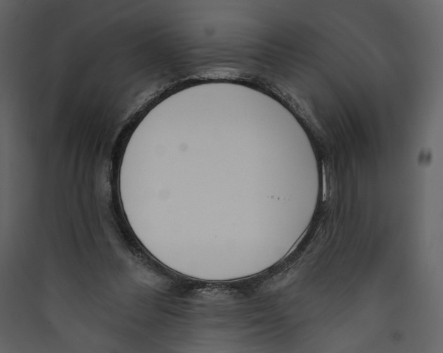 X0000089390300200707131725