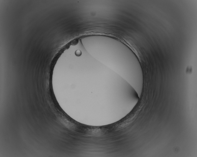 X0000089390301200707131725