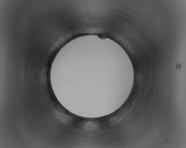 X0000089390303200707131725