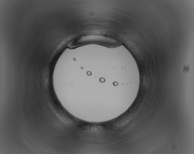 X0000089390304200707131725