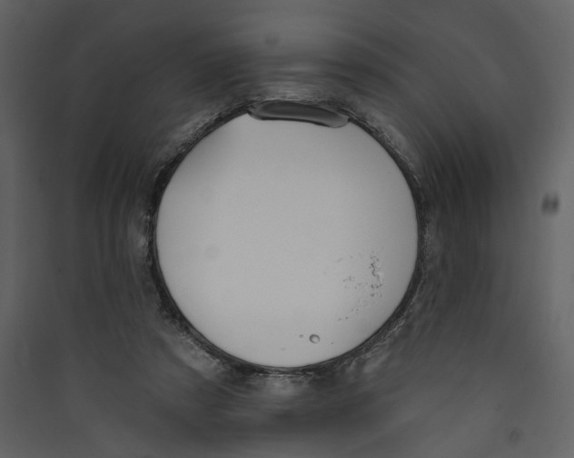 X0000089390305200707131725