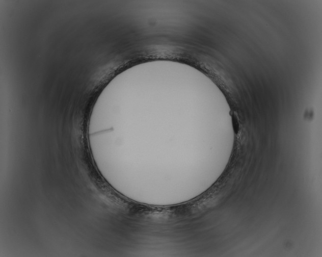 X0000089390306200707131724