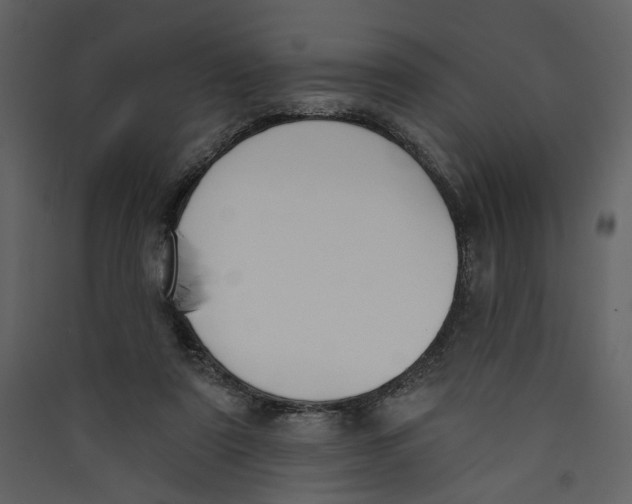 X0000089390307200707131724