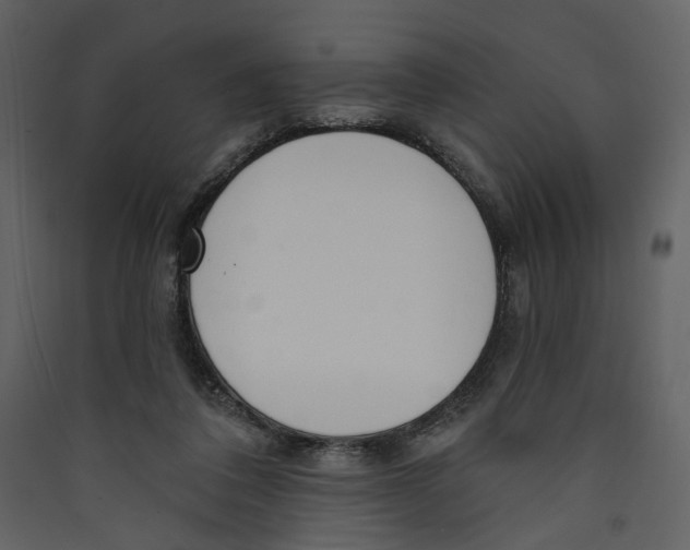X0000089390308200707131724