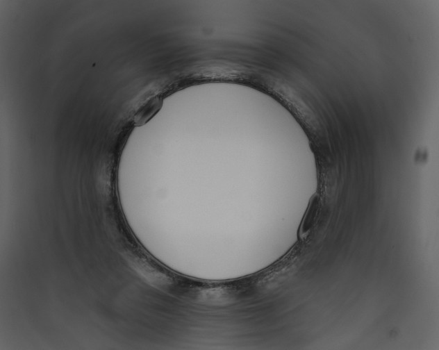 X0000089390309200707131724