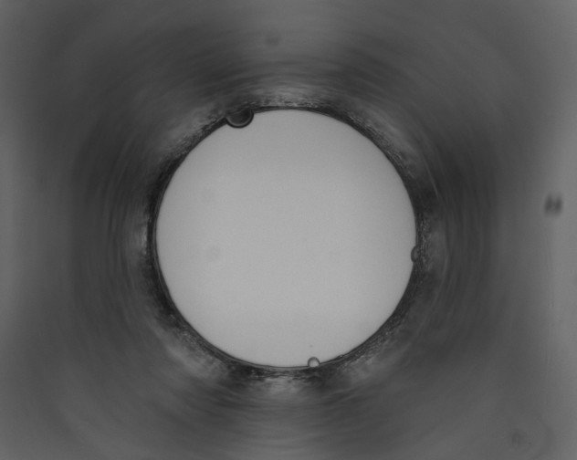 X0000089390310200707131724