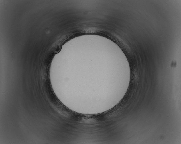 X0000089390311200707131724