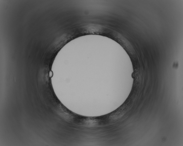 X0000089390313200707131724