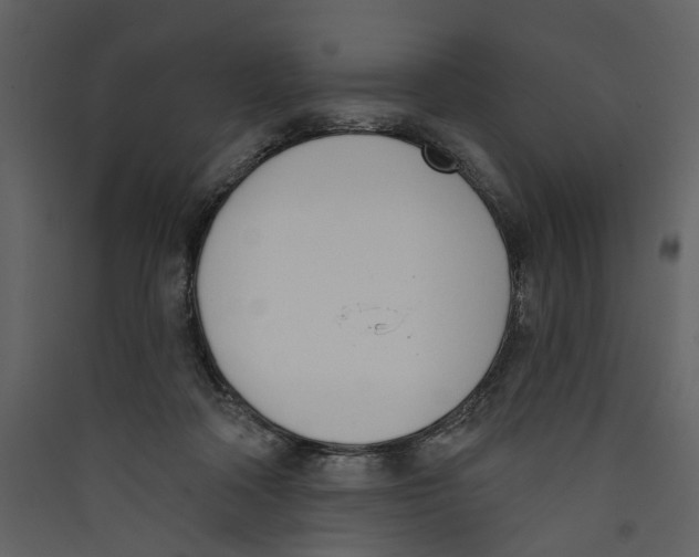 X0000089390314200707131724